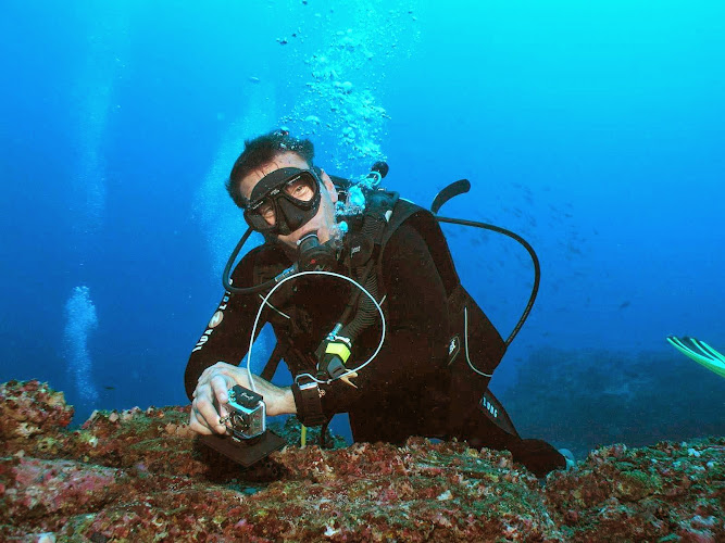 Carnac Plongée Dive Center - Morbihan - Bretagne