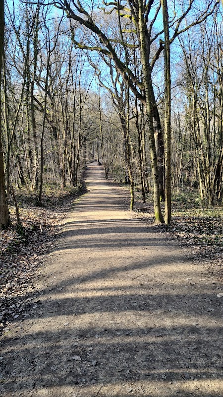 Forêt de Bondy