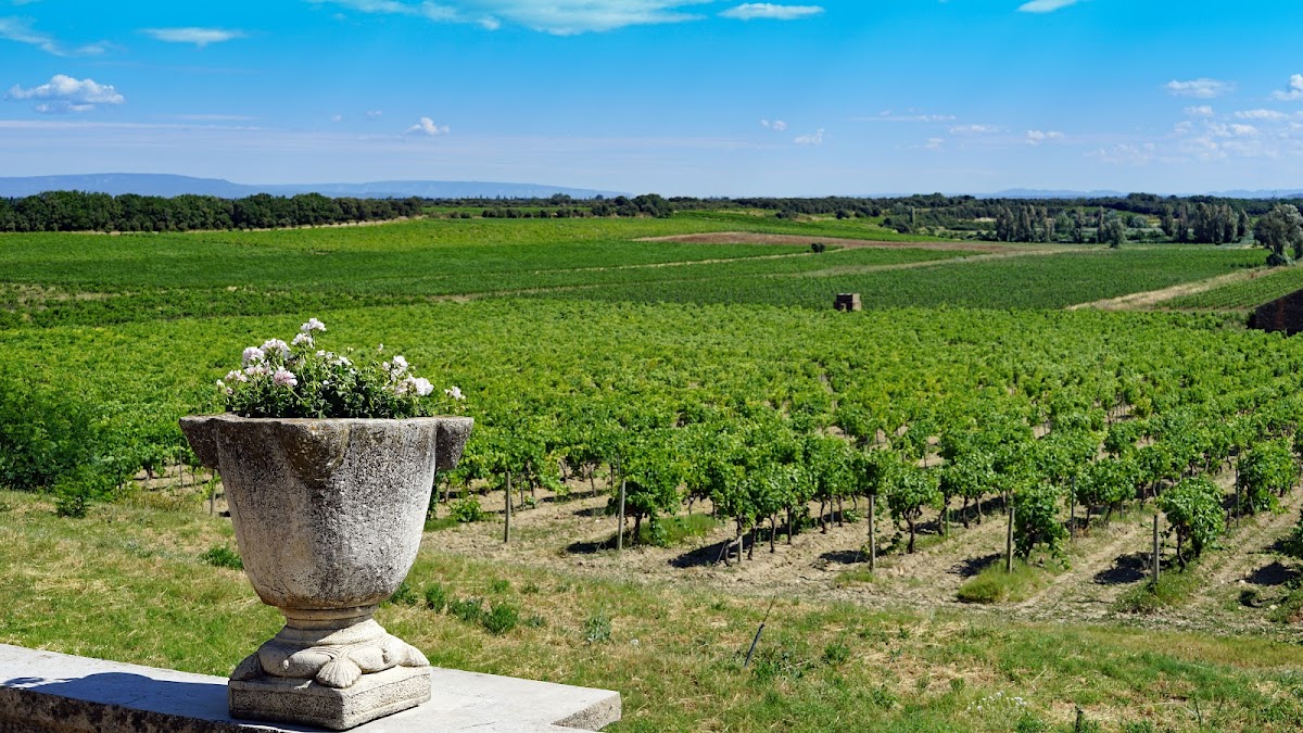 Château de Ruth