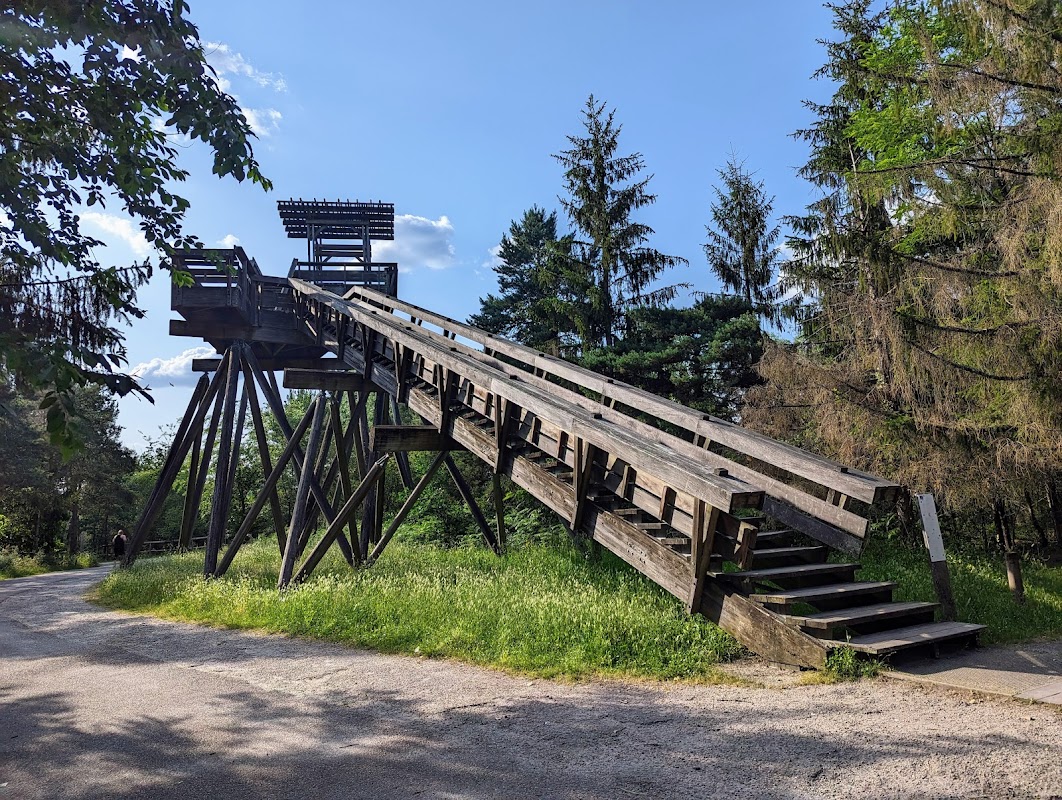 Forêt du Bourgailh