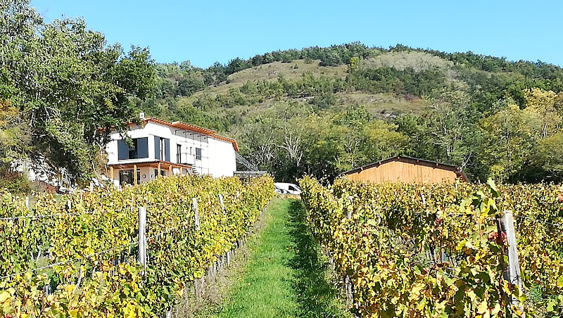 Domaine des Coteaux d'Engraviès