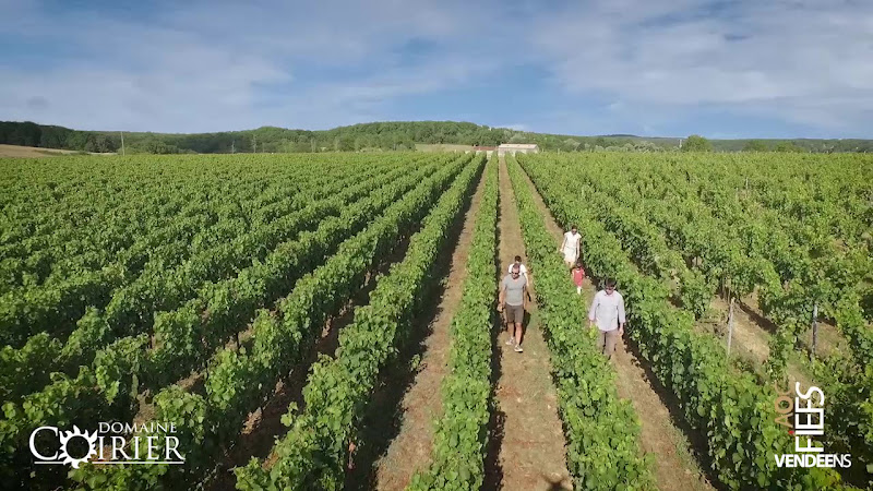 DOMAINE COIRIER