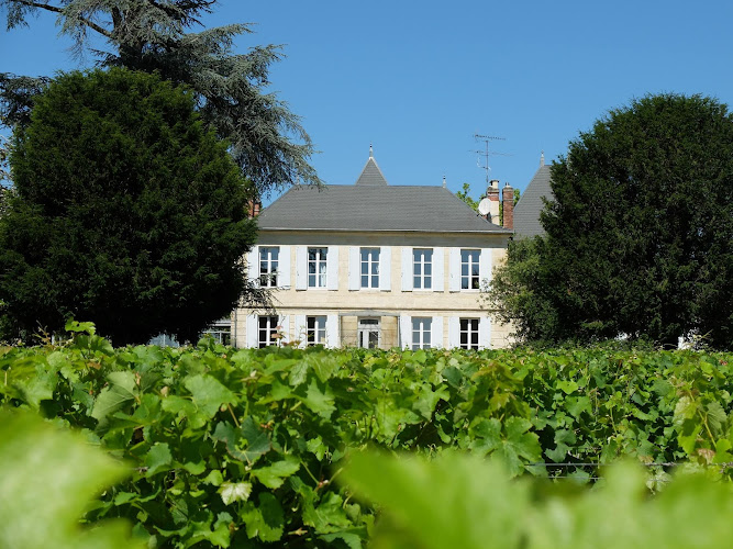 Château Jouvente