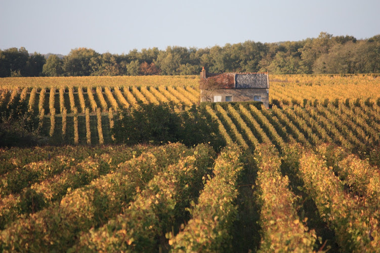 Domaine de la Croix Mélier - Les Terres Turones