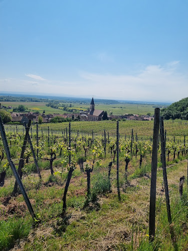Domaine SOHLER Les Vigneronnes