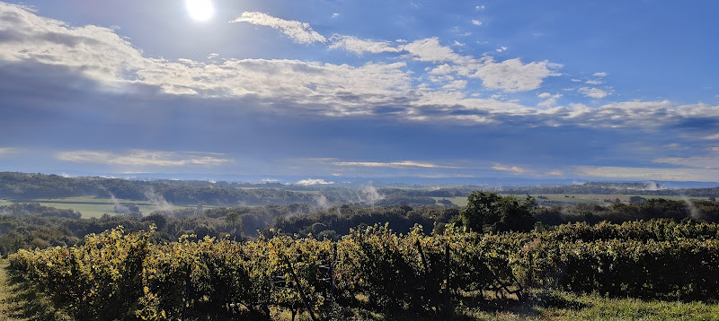 Domaine Viticole du Moutherot