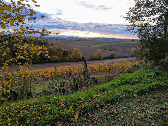 Domaine de Lastronques