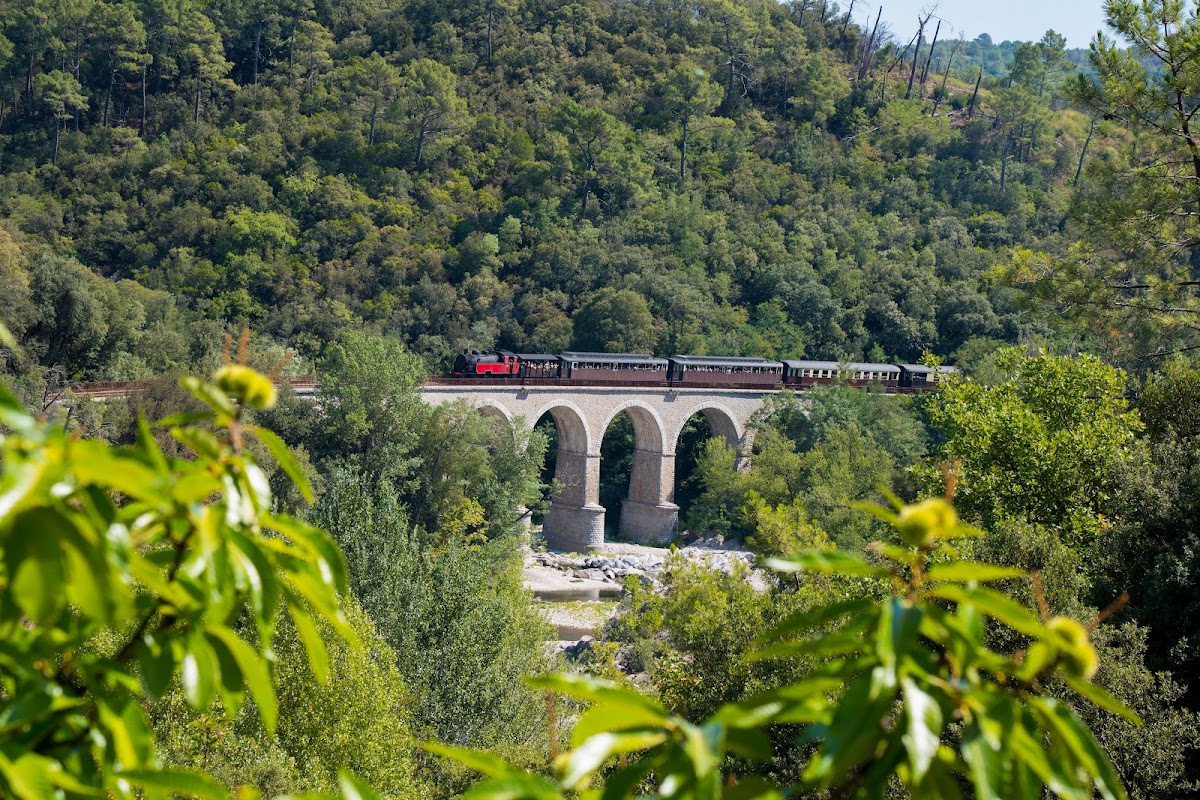 Train à Vapeur des Cévennes