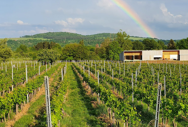 Domaine Les Béliers