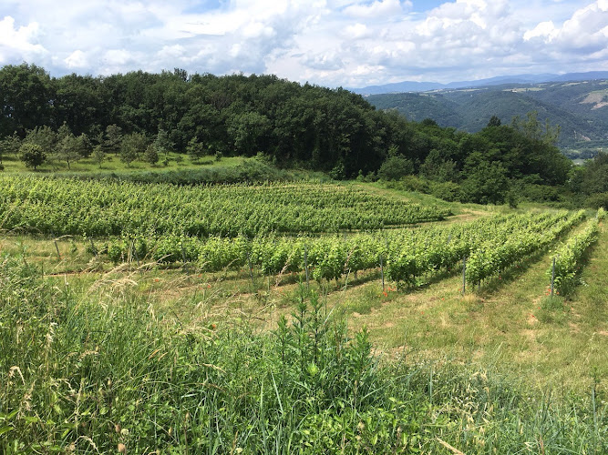 VIGNOBLE AMIRA