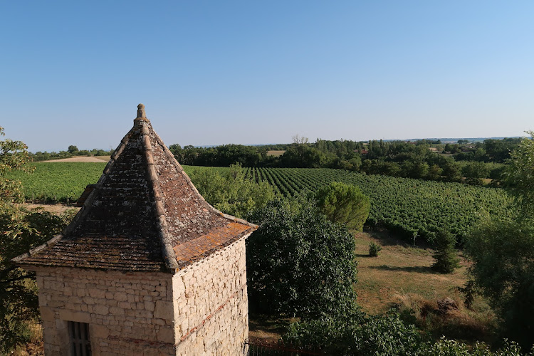 Domaine de Cantalauze, domaine viticole, vigneron, Cahuzac/Vère, Tarn, vins bio de Gaillac, dégustation vente de vin, visite