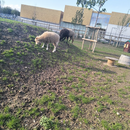 Educational Farm