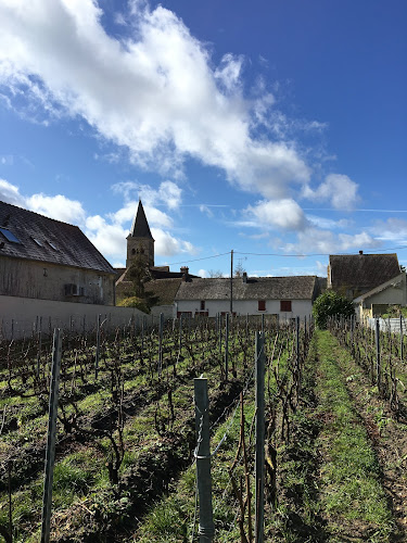 Champagne PIERRE Laurent
