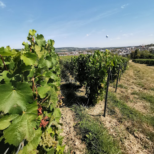 Champagne Harlin Père et Fils