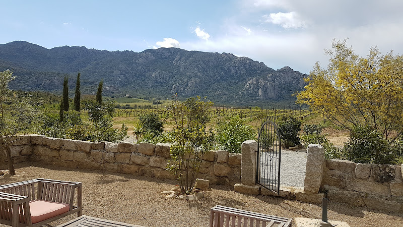 Domaine Castellu di Baricci