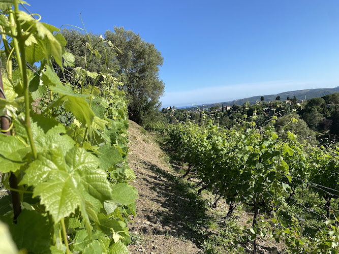 Domaine des Claus (ex Domaine Saint Joseph)