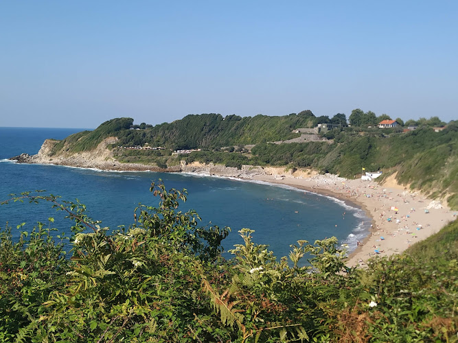 Plage de Lafitenia