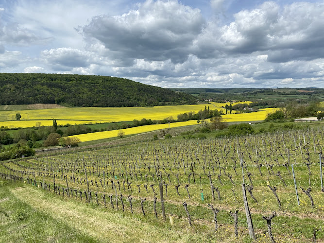 DOMAINE DE MONTMAIN