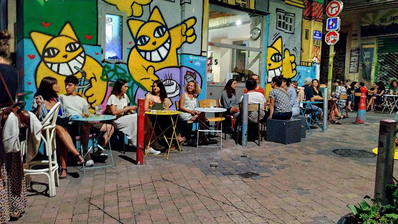 Chat perché