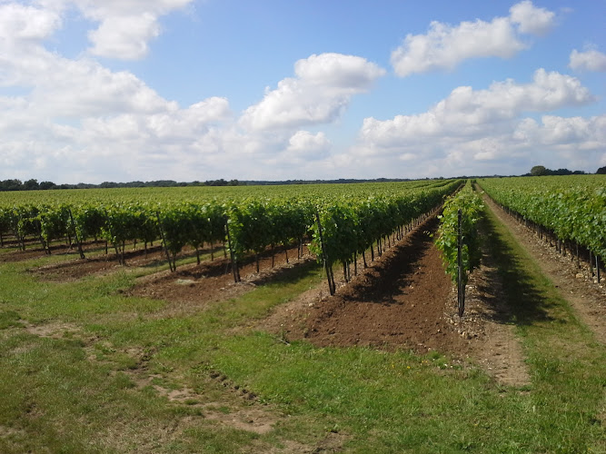 Vignoble Plaize Sarl