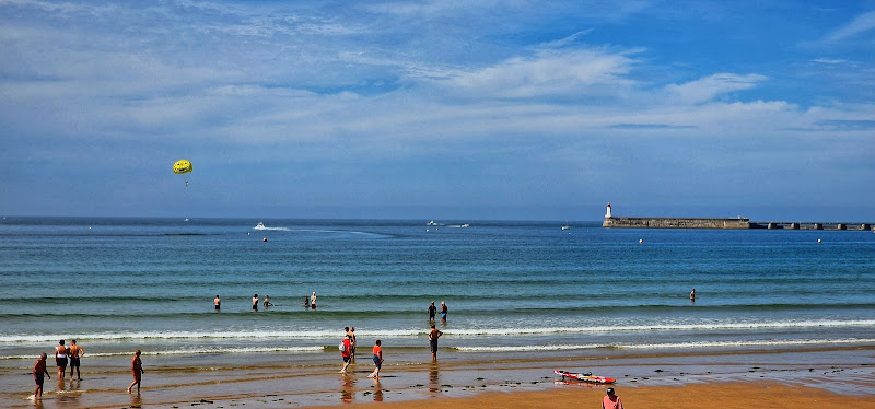 Bahia Surf Shop