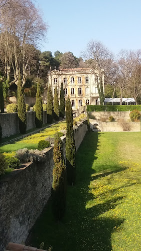 Cave Du Chateau De Fontsegugne