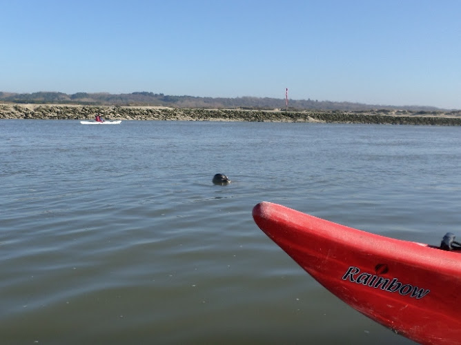 Kayak de Mer Côte d'Opale - KMCO