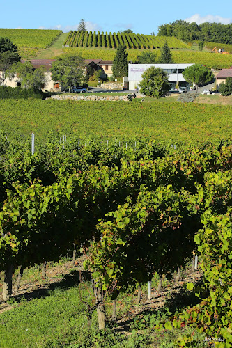 DOMAINE VAYSSETTE