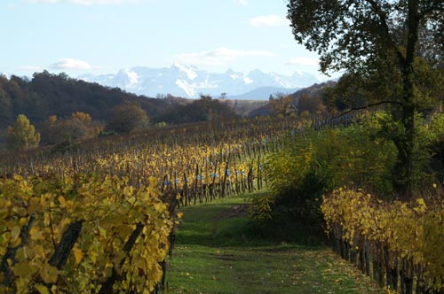 domaine Bordenave (vin Bio) dégustation et visites au chai à Monein au coeur du Jurançon