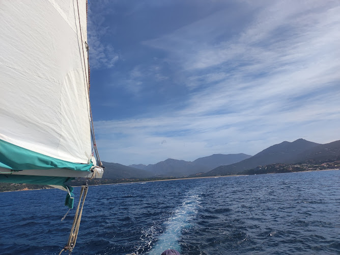Promenade en mer à la voile valinco découverte