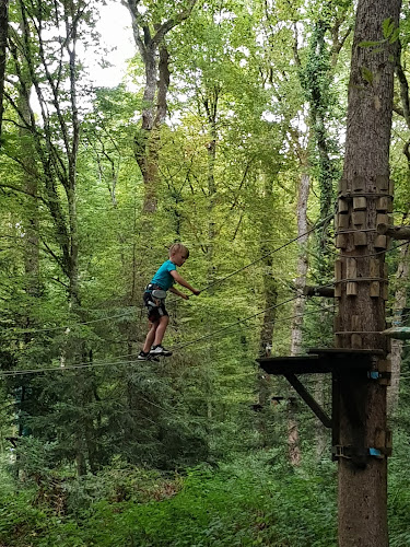 Sensation Nature - Accrobranche