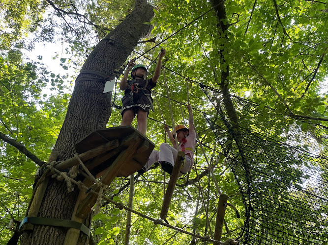 La Foret des Vert'tiges