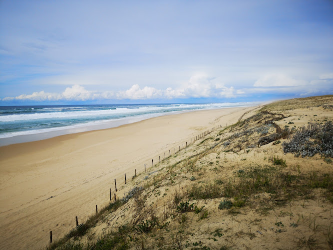 Plage Remember
