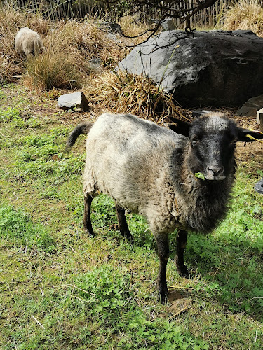 La P'tite Ferme Pédagogique de la Goutte d'Or
