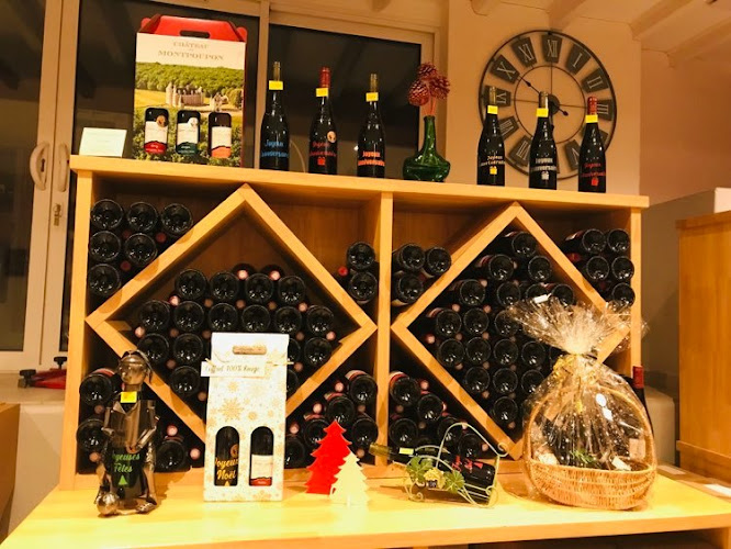 Domaine des Champs Gonneau - Cave BOUTIN