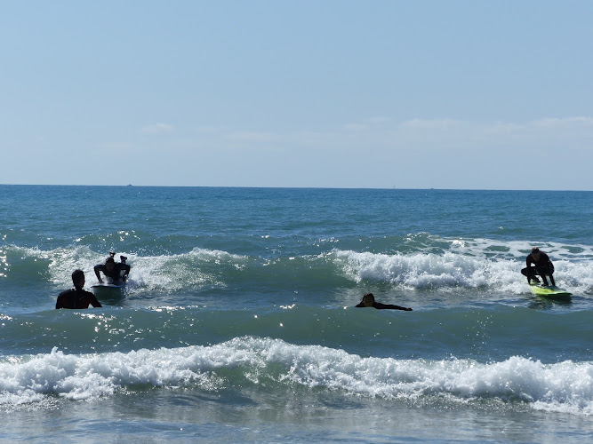 Palawaï Surf School école de surf & stand up paddle (SUP)