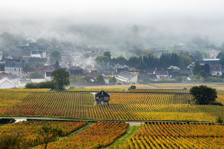 Chemins de Bourgogne