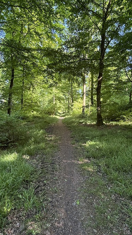 Forêt de Mormal
