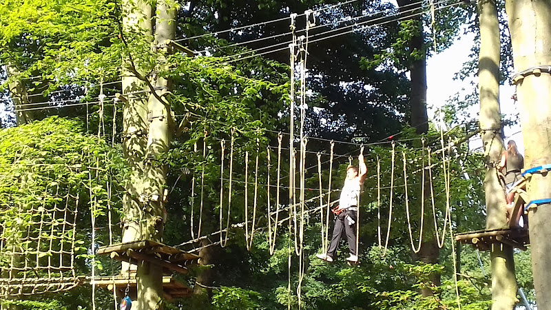 Woody Park