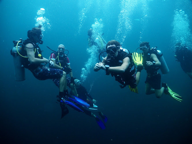 Spotmydive