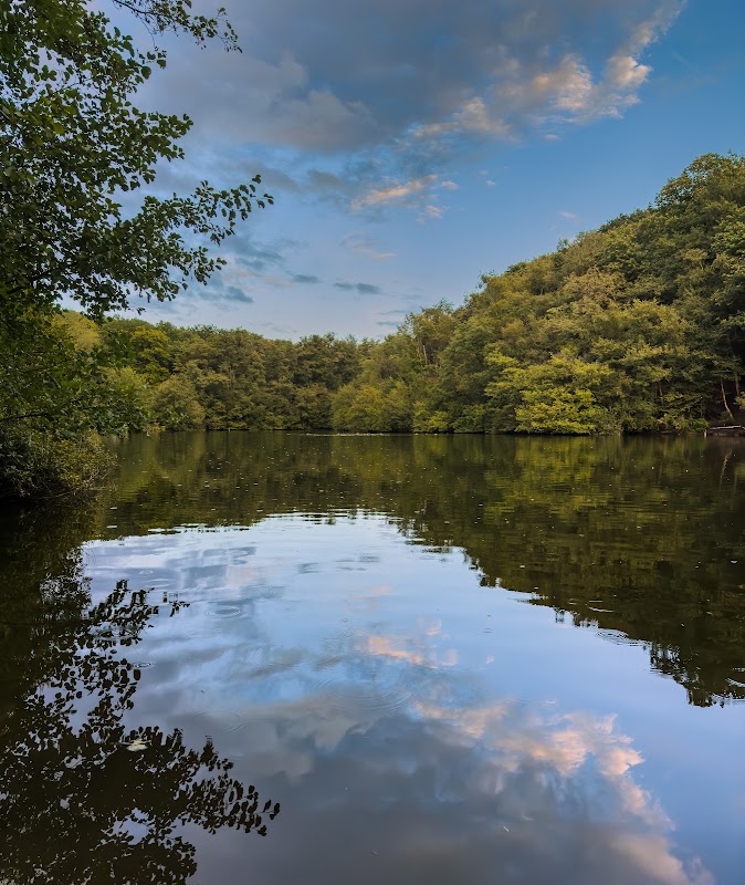 Forêt de Meudon