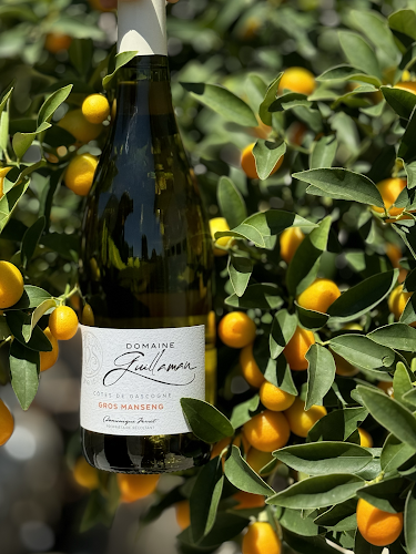 Domaine Guillaman
