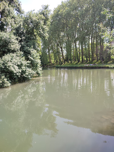 L'Yèvre de Mer Plongée