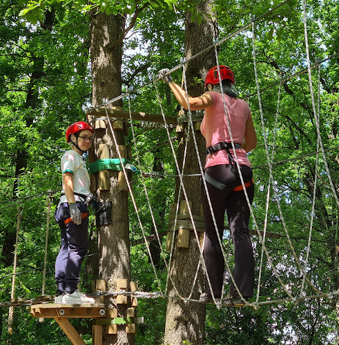 Saumur Forest Aventures