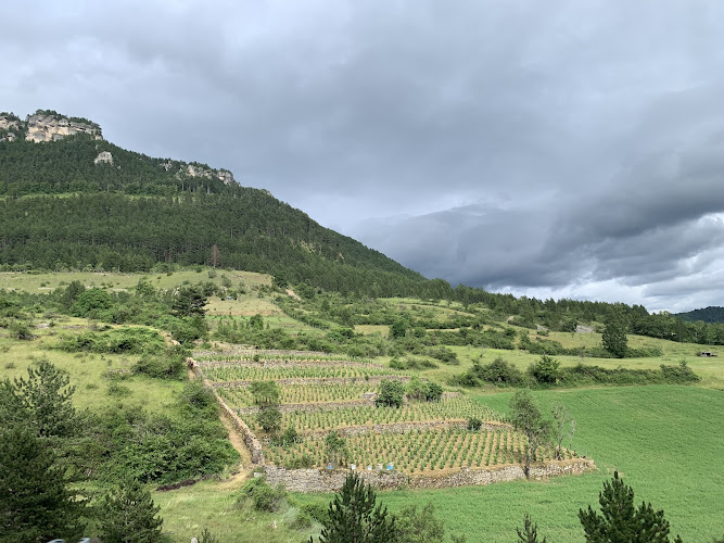 Domaine des Cabridelles