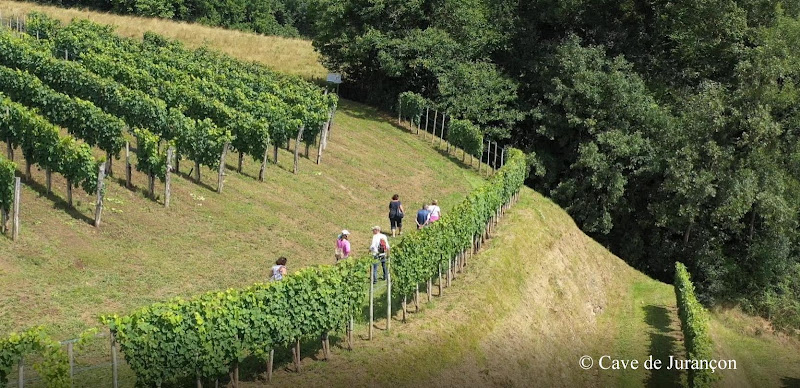 La Cave de Jurançon