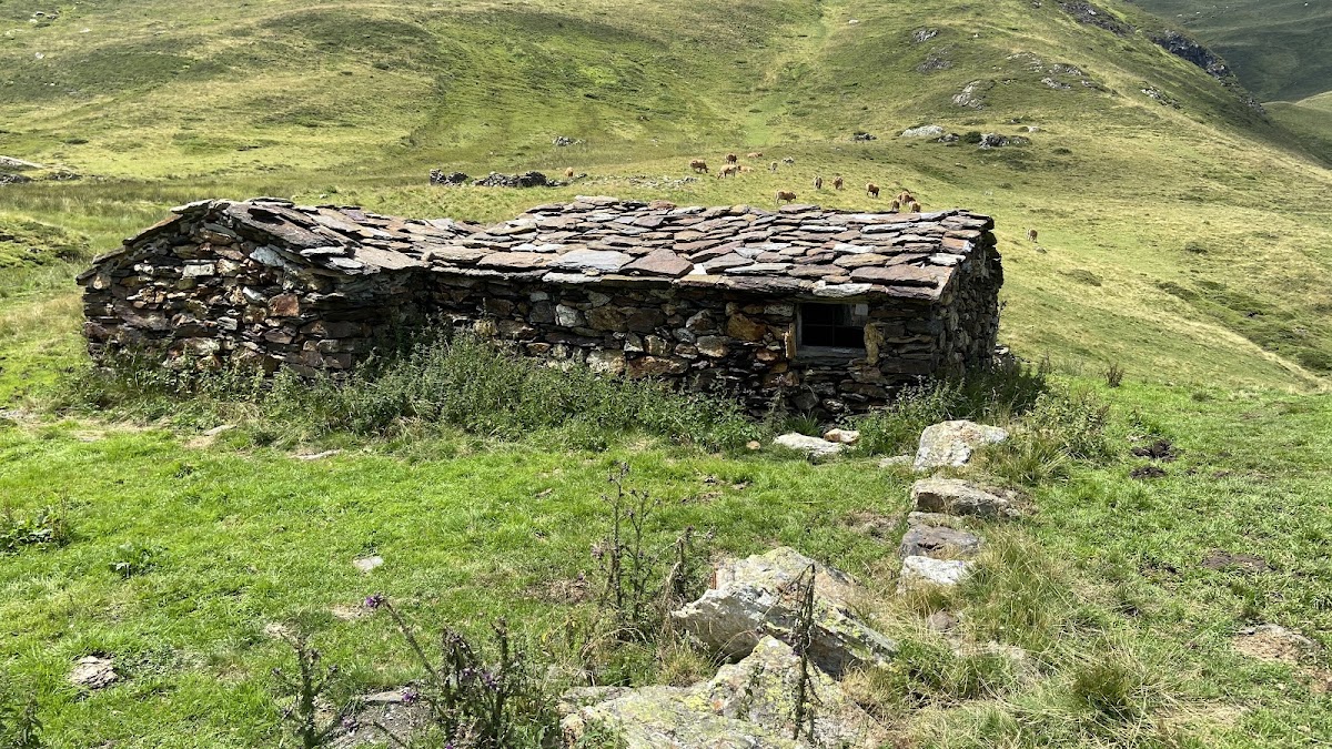 Forêt d'Aygue Rouye
