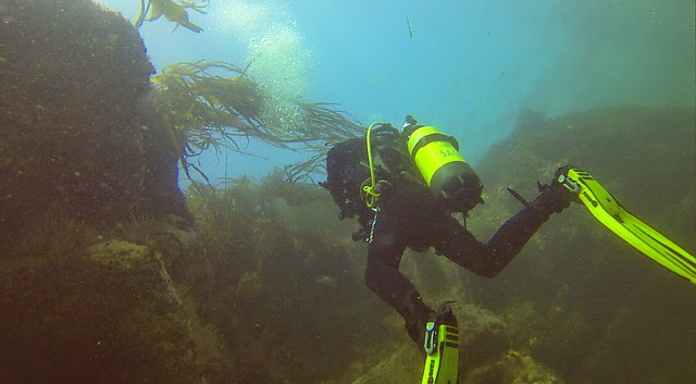 H2JO diving
