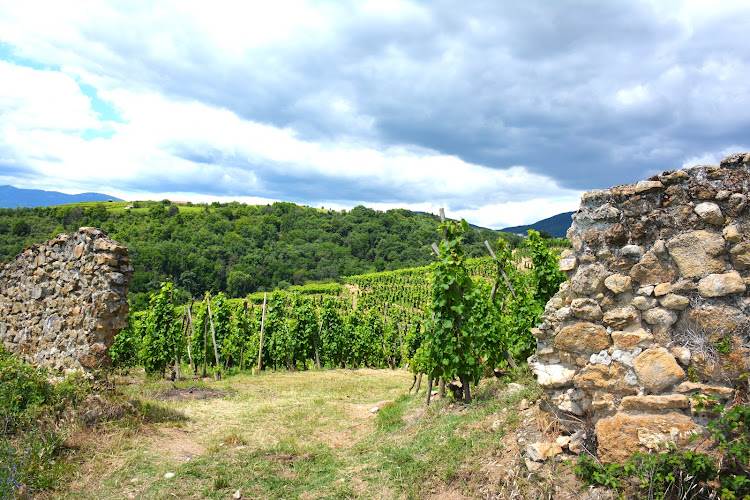Le CAVEAU - Domaine NIERO