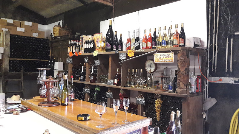 CAVE Pajot Laurent Viticulteur
